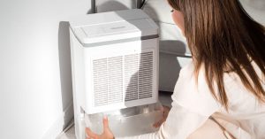 naturally improve indoor air quality - society of wellness